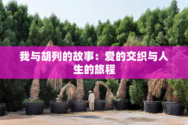 我与胡列的故事：爱的交织与人生的旅程