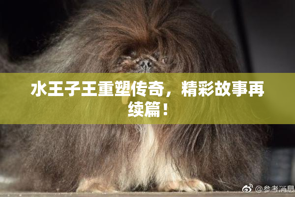 水王子王重塑传奇，精彩故事再续篇！
