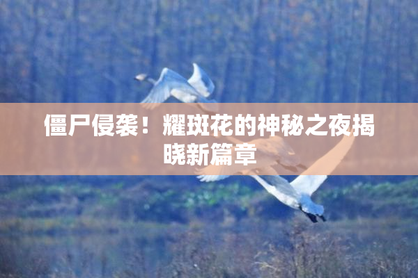 僵尸侵袭！耀斑花的神秘之夜揭晓新篇章