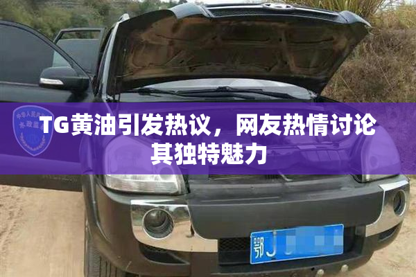 TG黄油引发热议，网友热情讨论其独特魅力