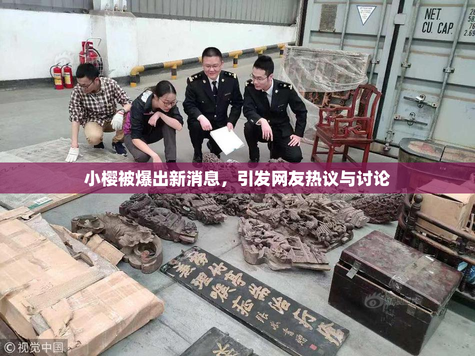 小樱被爆出新消息，引发网友热议与讨论