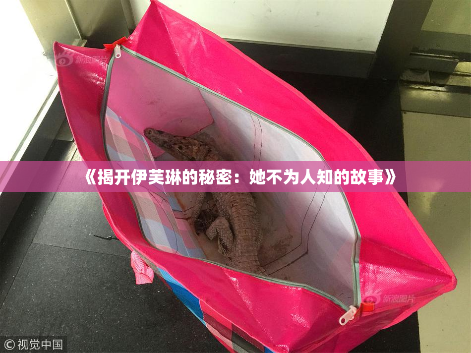 《揭开伊芙琳的秘密：她不为人知的故事》