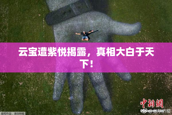 云宝遭紫悦揭露，真相大白于天下！