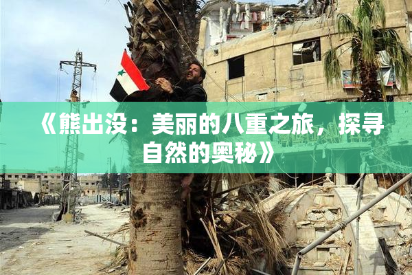 《熊出没：美丽的八重之旅，探寻自然的奥秘》