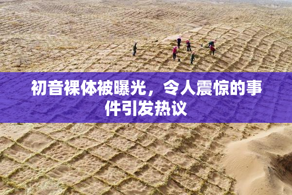 初音裸体被曝光，令人震惊的事件引发热议