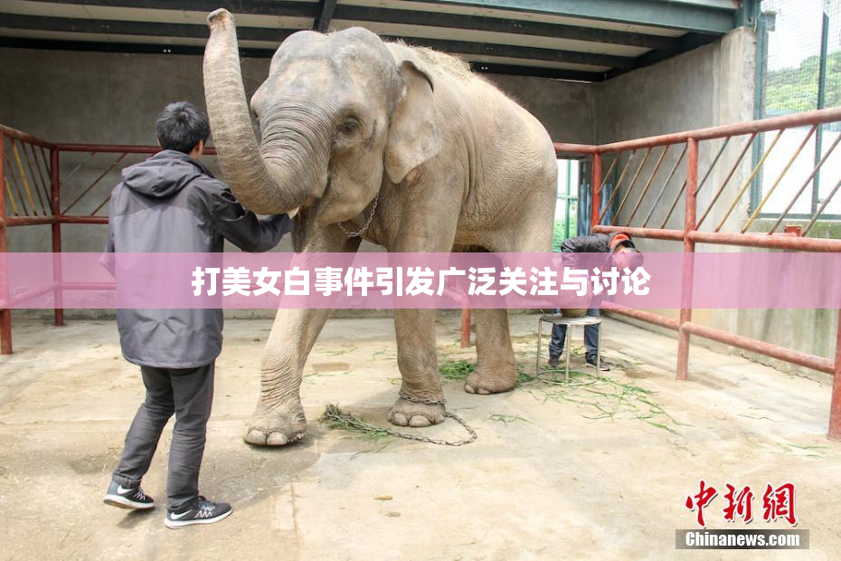 打美女白事件引发广泛关注与讨论