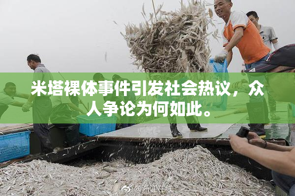 米塔裸体事件引发社会热议，众人争论为何如此。