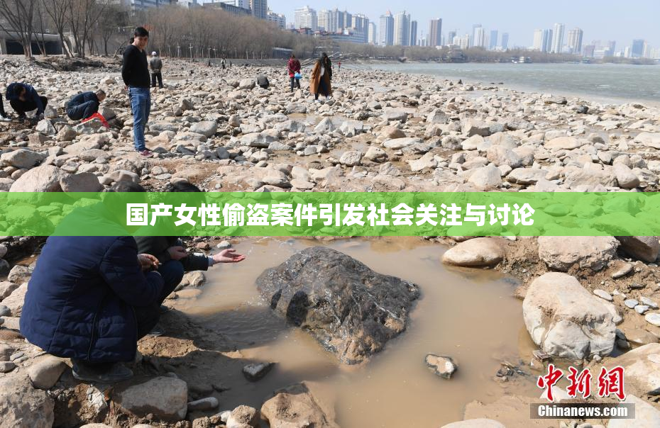 国产女性偷盗案件引发社会关注与讨论