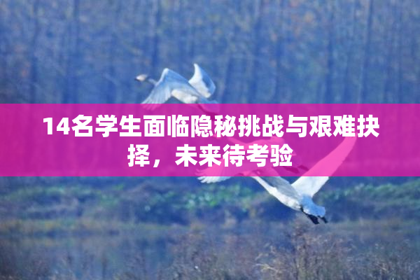 14名学生面临隐秘挑战与艰难抉择，未来待考验