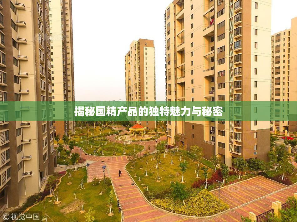 揭秘国精产品的独特魅力与秘密