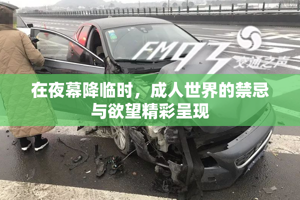 在夜幕降临时，成人世界的禁忌与欲望精彩呈现