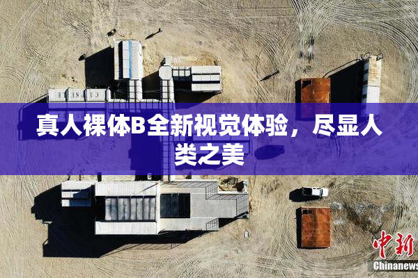真人裸体B全新视觉体验，尽显人类之美