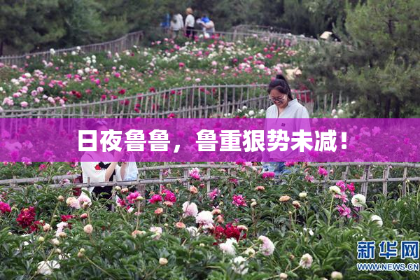 日夜鲁鲁，鲁重狠势未减！