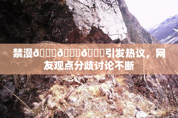 禁漫🍆🍑🔞引发热议，网友观点分歧讨论不断