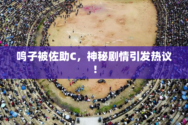 鸣子被佐助C，神秘剧情引发热议！