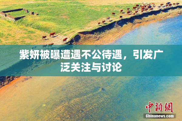 紫妍被曝遭遇不公待遇，引发广泛关注与讨论