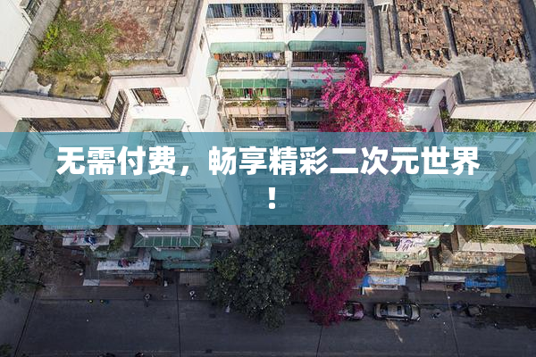 无需付费，畅享精彩二次元世界！