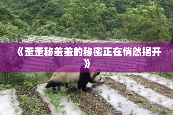 《歪歪秘羞羞的秘密正在悄然揭开》