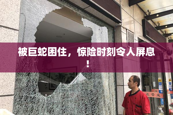 被巨蛇困住，惊险时刻令人屏息！