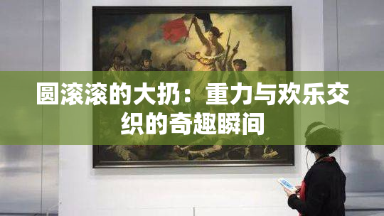 圆滚滚的大扔：重力与欢乐交织的奇趣瞬间