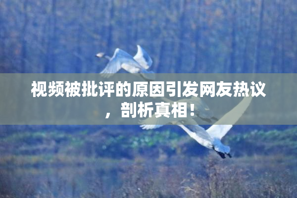 视频被批评的原因引发网友热议，剖析真相！