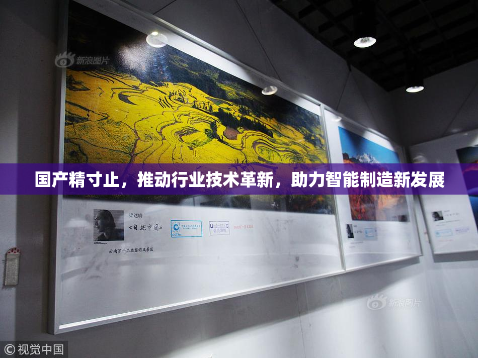 国产精寸止，推动行业技术革新，助力智能制造新发展