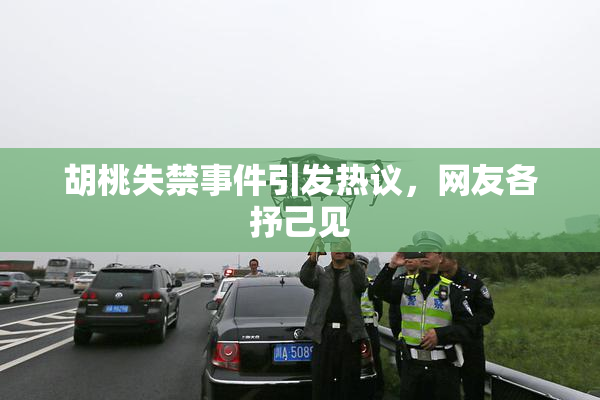 胡桃失禁事件引发热议，网友各抒己见