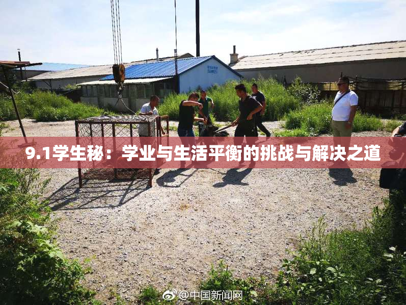 9.1学生秘：学业与生活平衡的挑战与解决之道