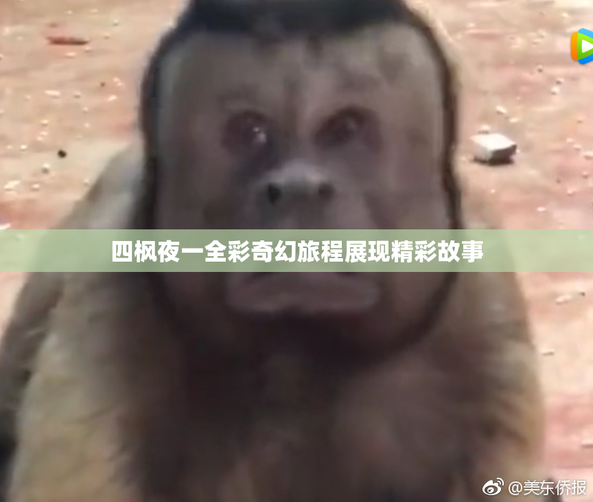 四枫夜一全彩奇幻旅程展现精彩故事