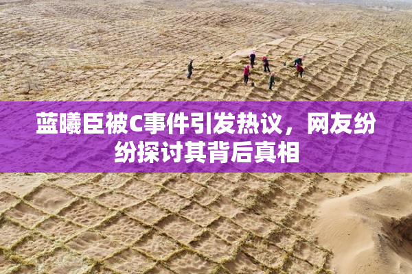 蓝曦臣被C事件引发热议，网友纷纷探讨其背后真相