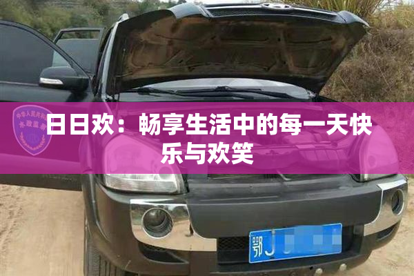 日日欢：畅享生活中的每一天快乐与欢笑