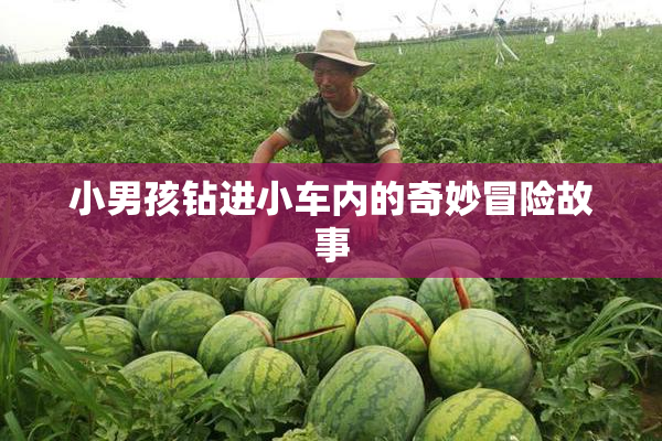 小男孩钻进小车内的奇妙冒险故事