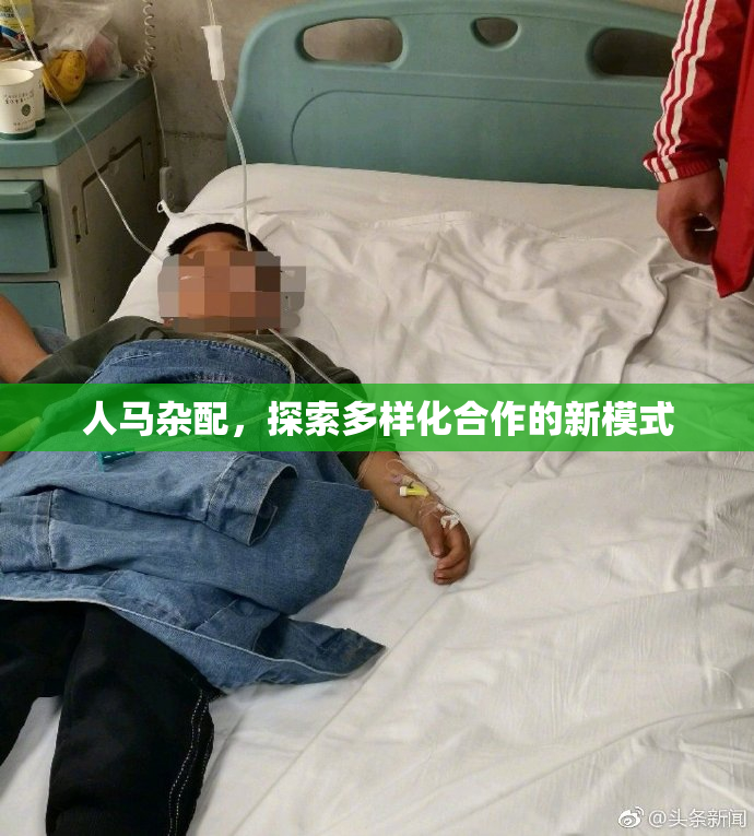 人马杂配，探索多样化合作的新模式