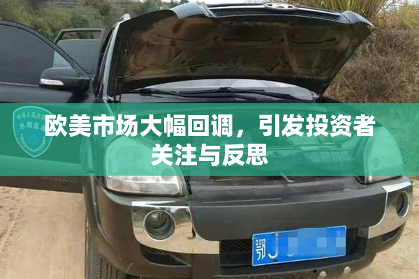 欧美市场大幅回调，引发投资者关注与反思