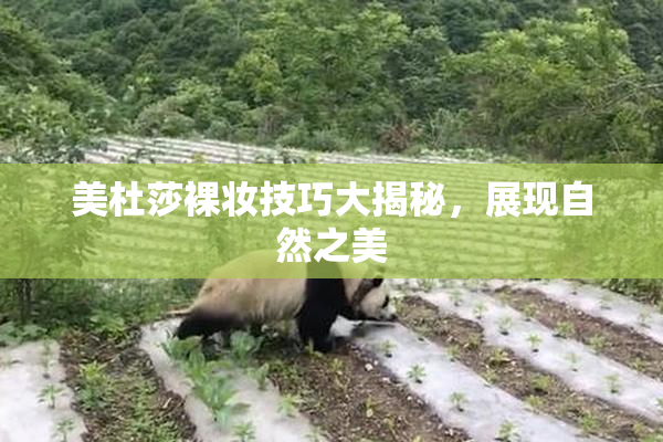 美杜莎裸妆技巧大揭秘，展现自然之美