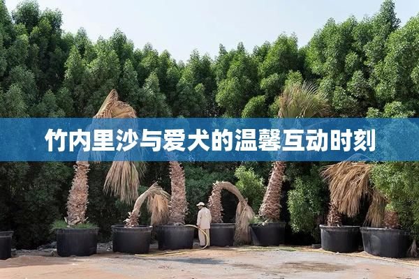 竹内里沙与爱犬的温馨互动时刻