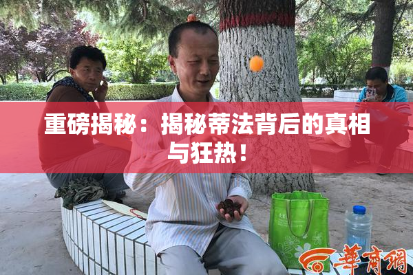 重磅揭秘：揭秘蒂法背后的真相与狂热！