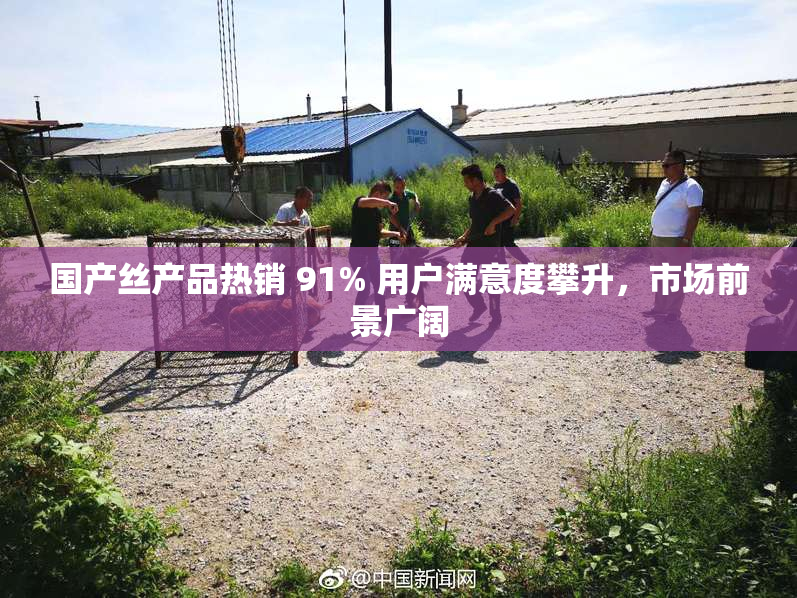 国产丝产品热销 91% 用户满意度攀升，市场前景广阔