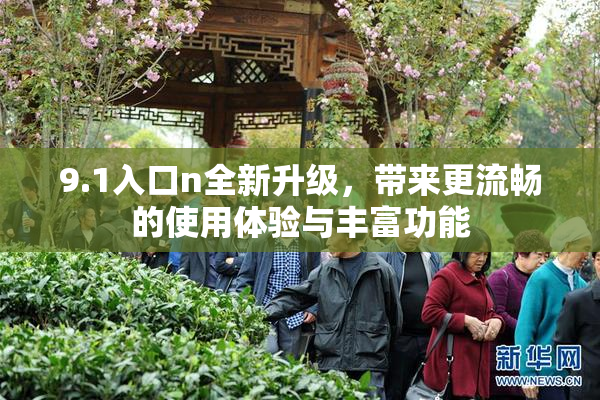 9.1入口n全新升级，带来更流畅的使用体验与丰富功能