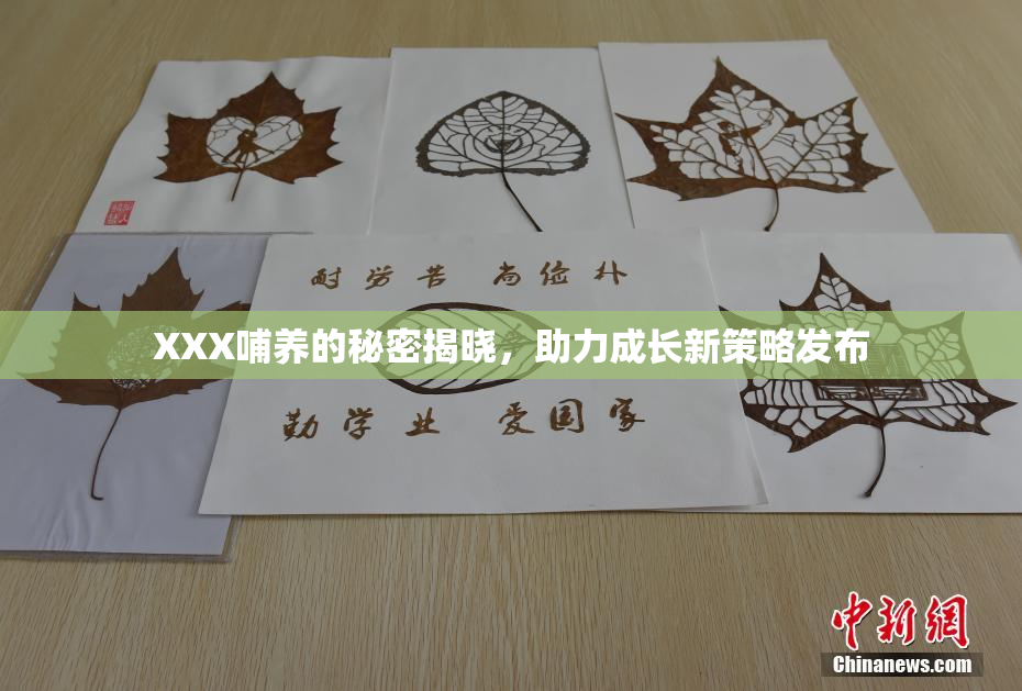 XXX哺养的秘密揭晓，助力成长新策略发布