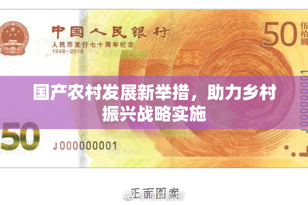 国产农村发展新举措，助力乡村振兴战略实施