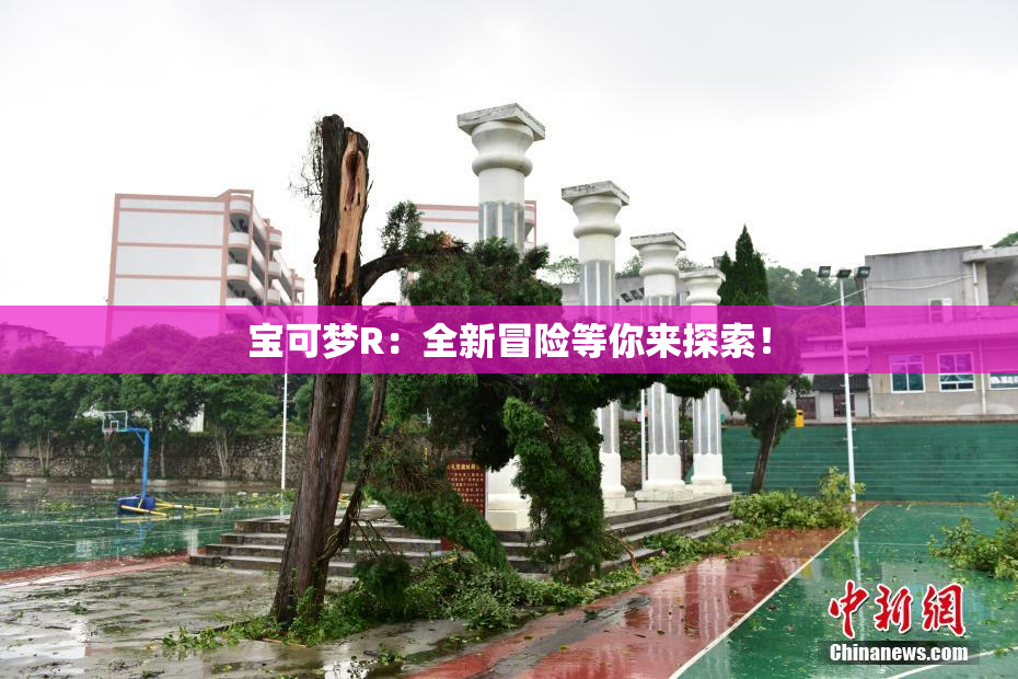 宝可梦R：全新冒险等你来探索！