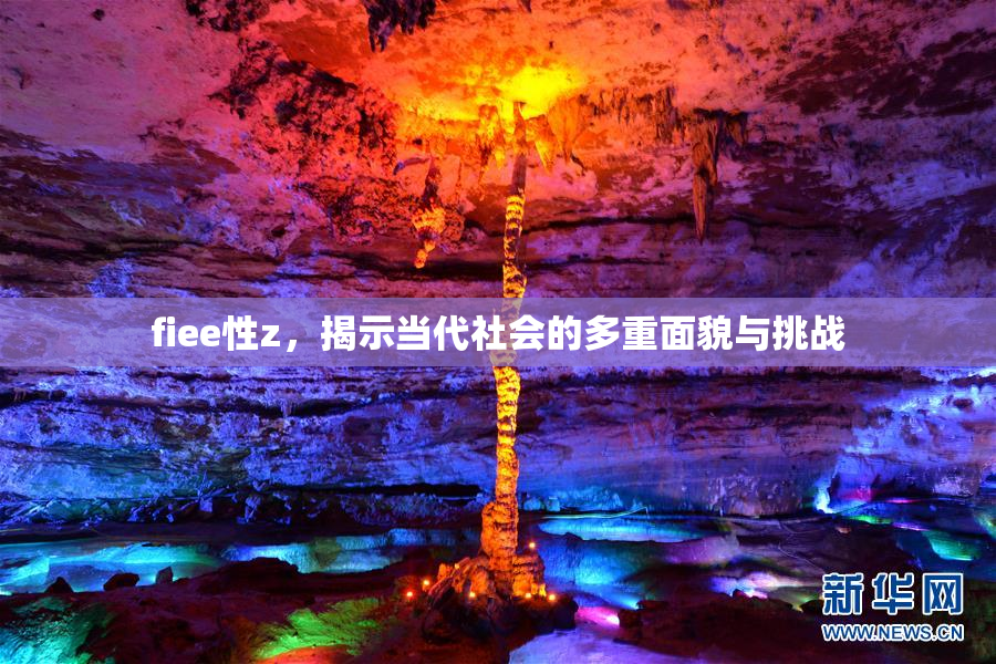 fiee性z，揭示当代社会的多重面貌与挑战