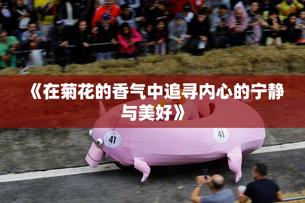 《在菊花的香气中追寻内心的宁静与美好》