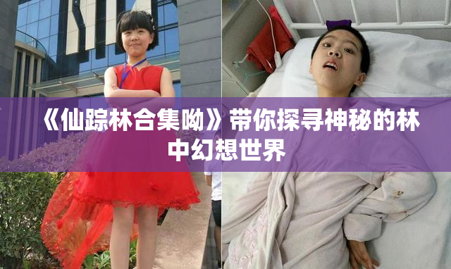 《仙踪林合集呦》带你探寻神秘的林中幻想世界