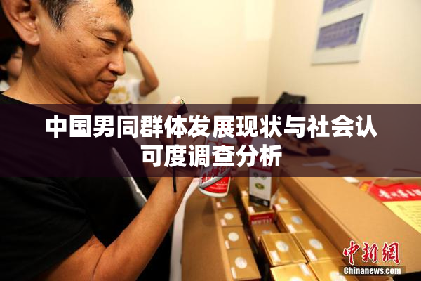 中国男同群体发展现状与社会认可度调查分析