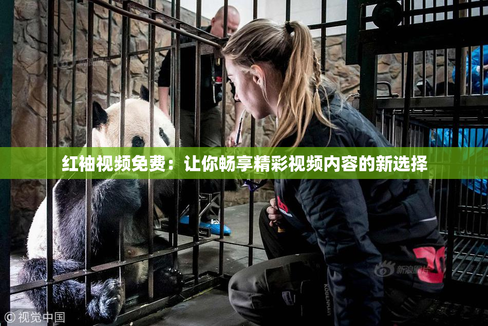 红袖视频免费：让你畅享精彩视频内容的新选择