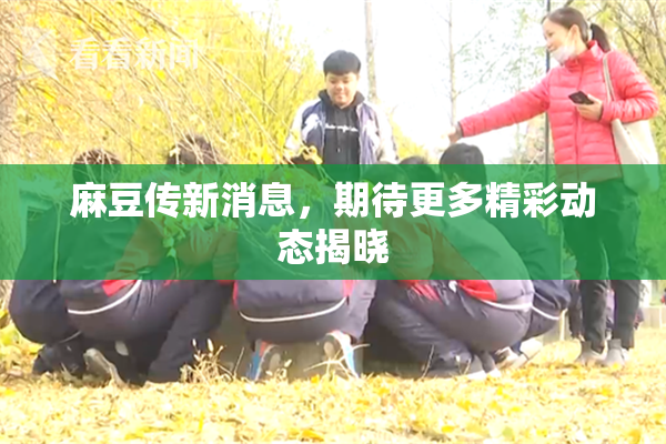 麻豆传新消息，期待更多精彩动态揭晓