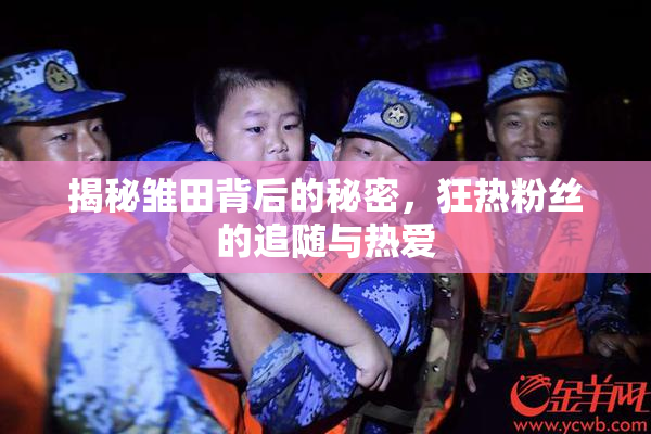 揭秘雏田背后的秘密，狂热粉丝的追随与热爱