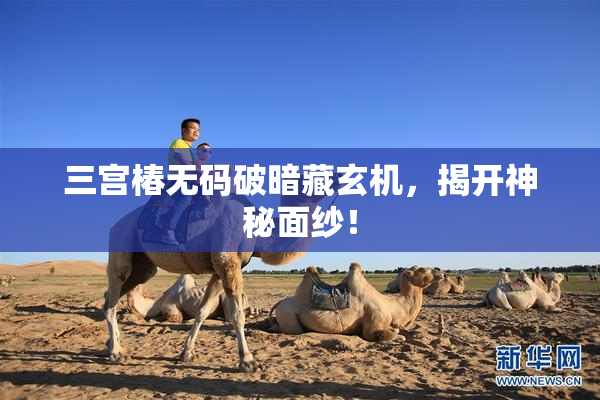 三宫椿无码破暗藏玄机，揭开神秘面纱！